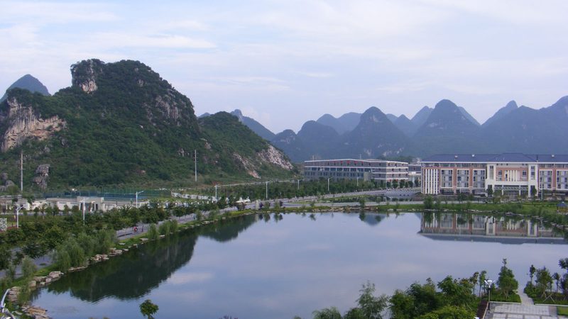 IC芯片正品价格之谜：揭秘市场真相**