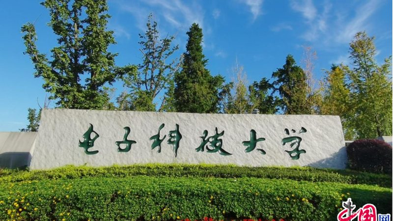 电子元器件定制，如何挑选优质厂家？**