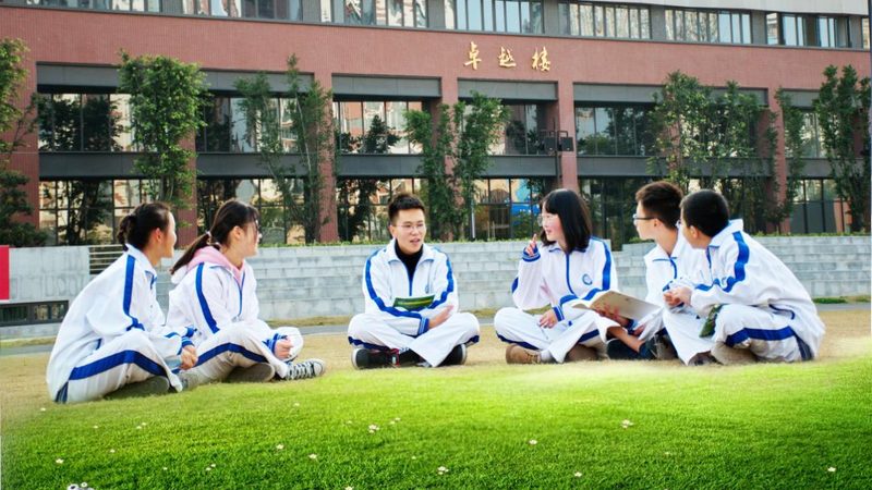 电子设计自动化软件：揭秘排名前十的奥秘